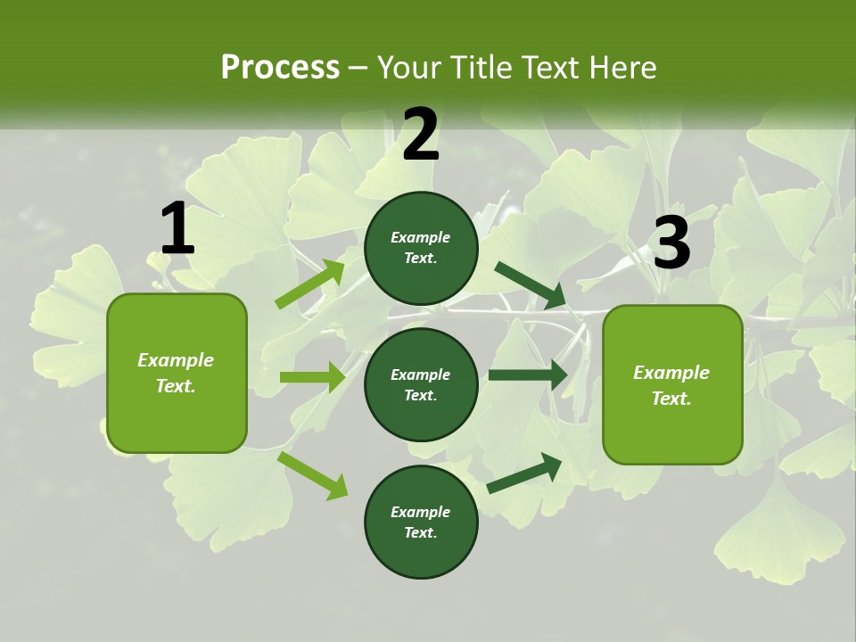 A Tree Branch With Green Leaves On It PowerPoint Template