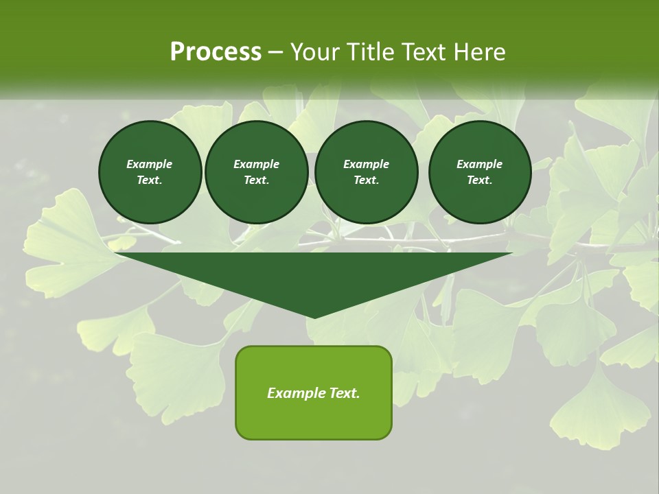A Tree Branch With Green Leaves On It PowerPoint Template