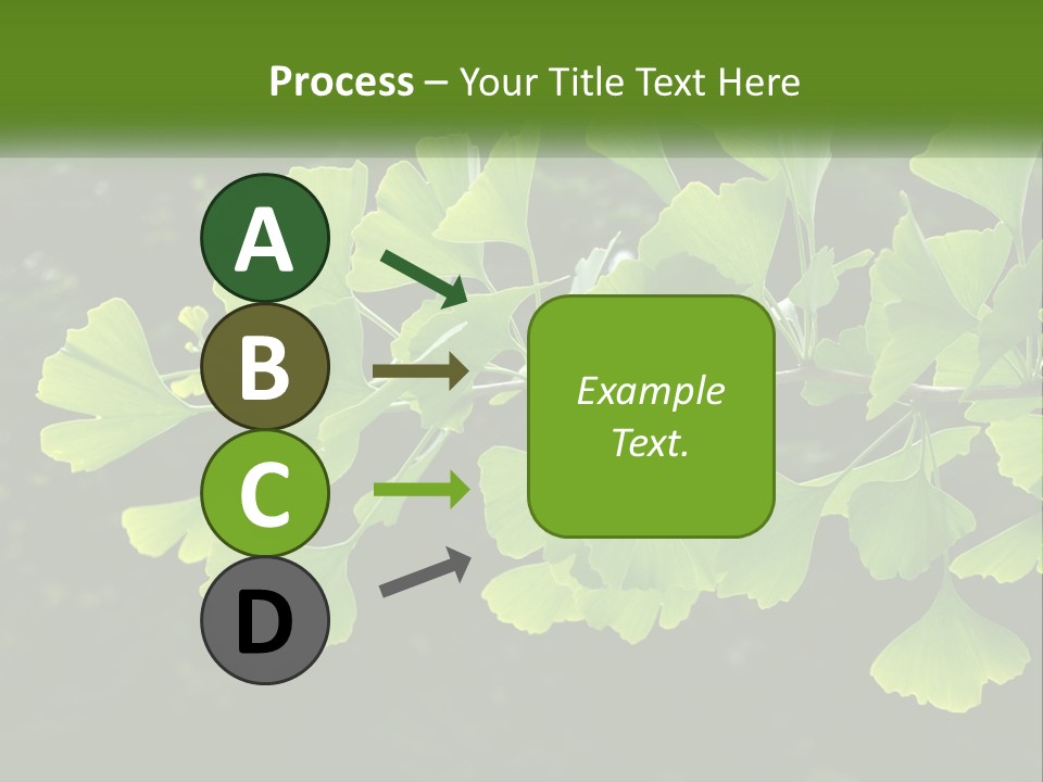 A Tree Branch With Green Leaves On It PowerPoint Template