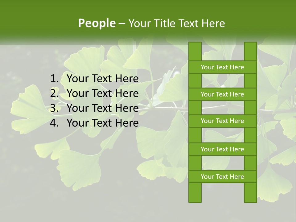 A Tree Branch With Green Leaves On It PowerPoint Template