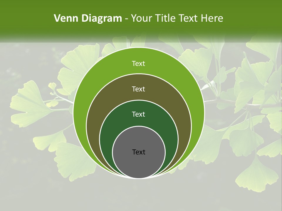 A Tree Branch With Green Leaves On It PowerPoint Template