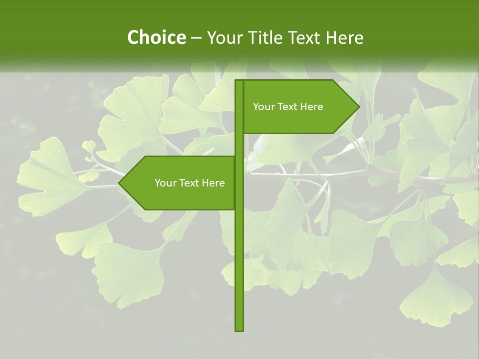 A Tree Branch With Green Leaves On It PowerPoint Template