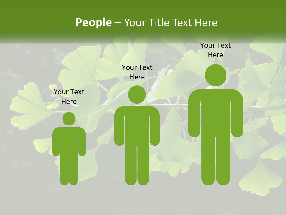 A Tree Branch With Green Leaves On It PowerPoint Template