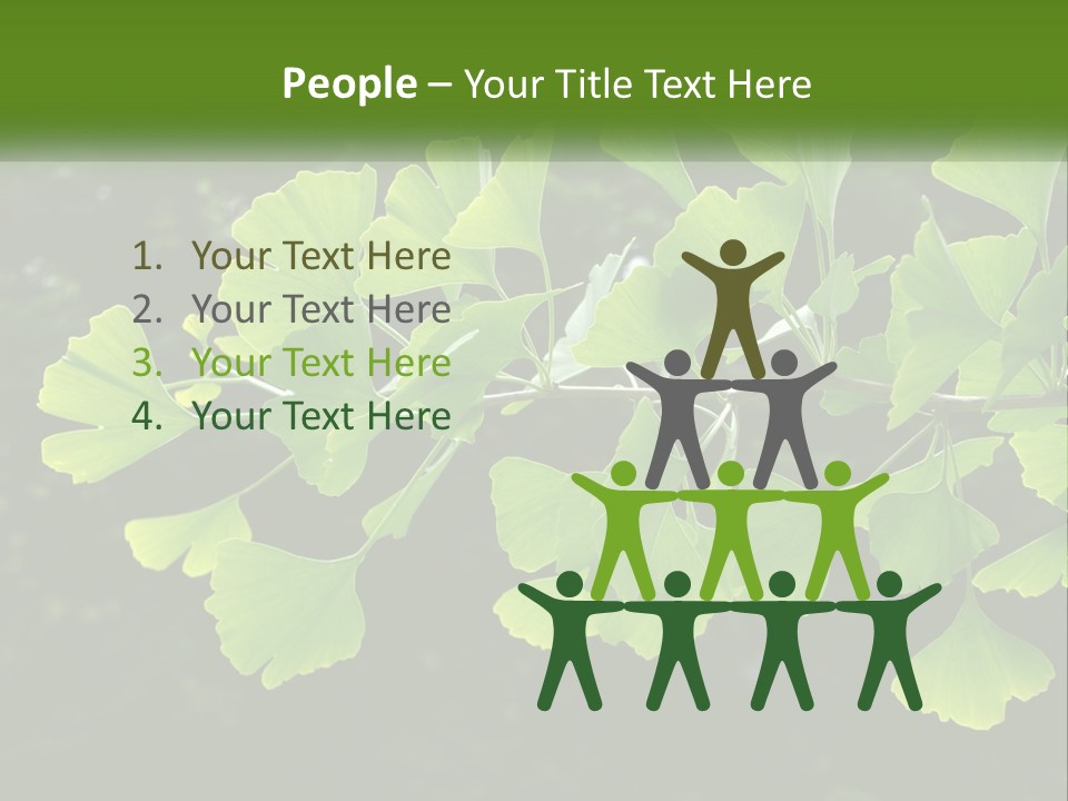 A Tree Branch With Green Leaves On It PowerPoint Template
