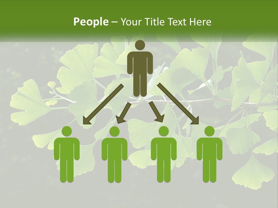 A Tree Branch With Green Leaves On It PowerPoint Template