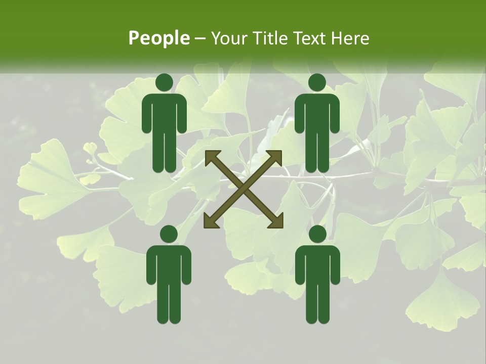 A Tree Branch With Green Leaves On It PowerPoint Template