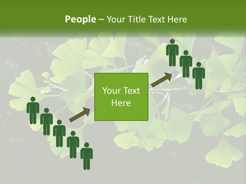 A Tree Branch With Green Leaves On It PowerPoint Template