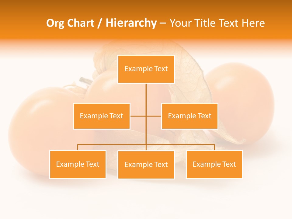 A Group Of Tomatoes With Leaves On A White Background PowerPoint Template