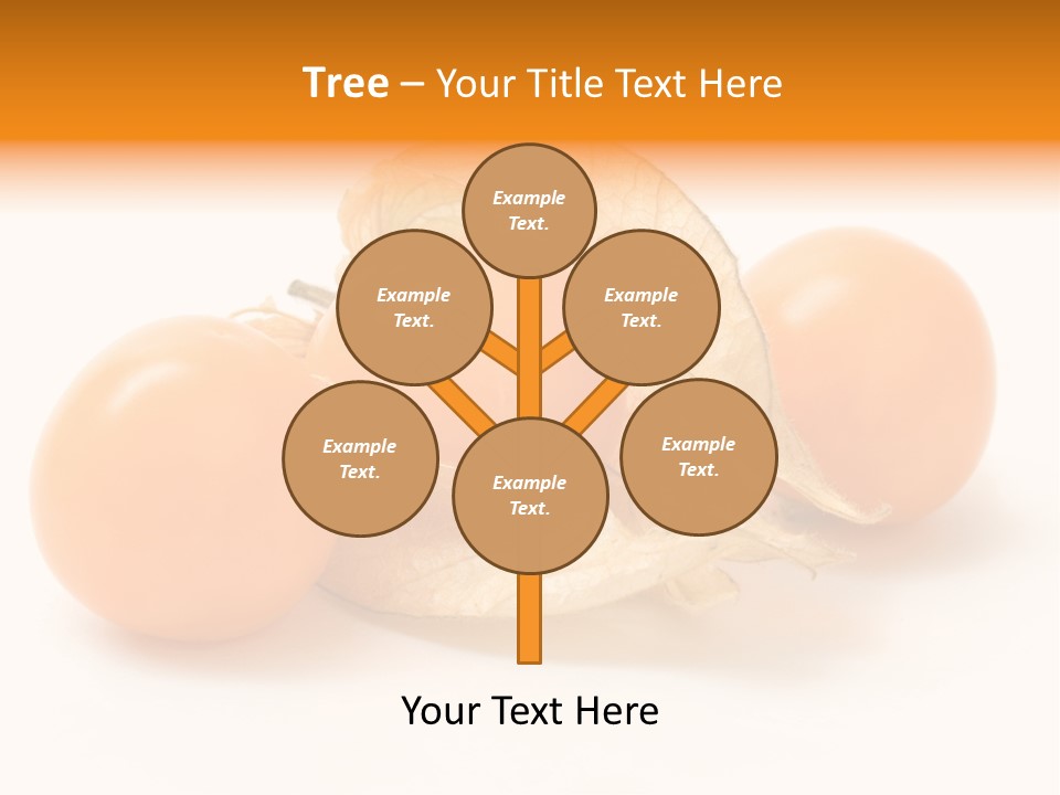 A Group Of Tomatoes With Leaves On A White Background PowerPoint Template