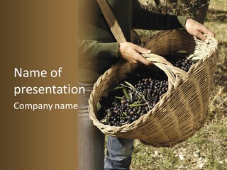 A Woman Holding A Basket Full Of Grapes PowerPoint Template