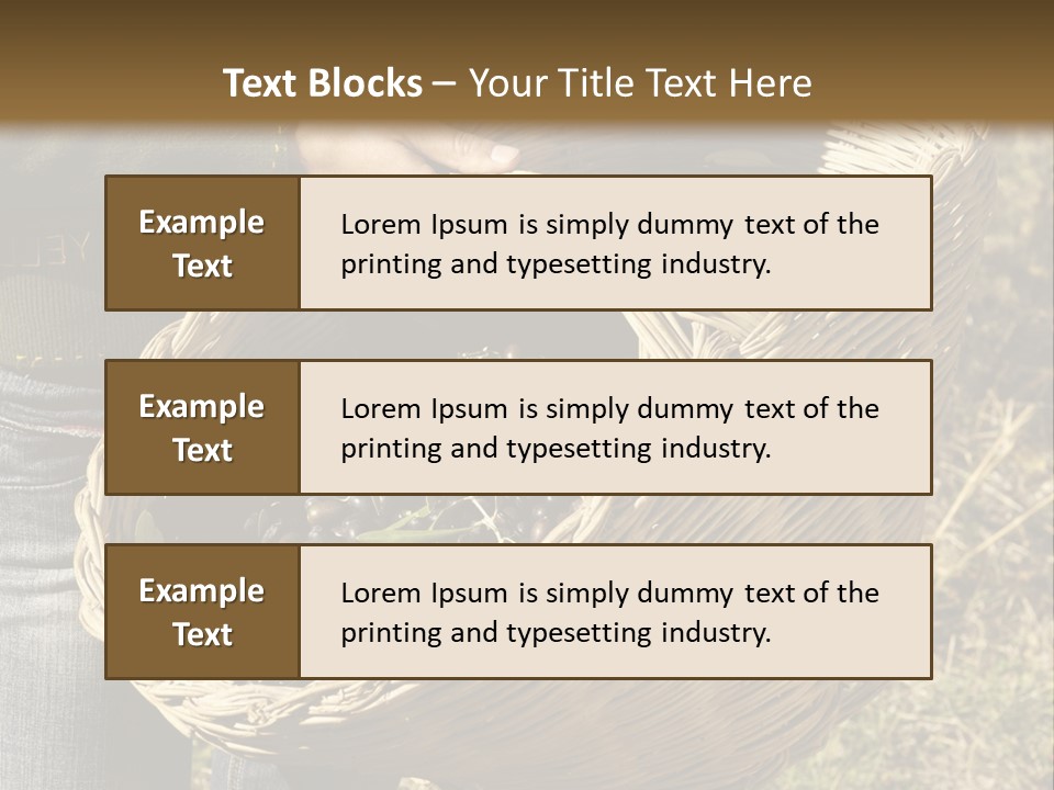 A Woman Holding A Basket Full Of Grapes PowerPoint Template