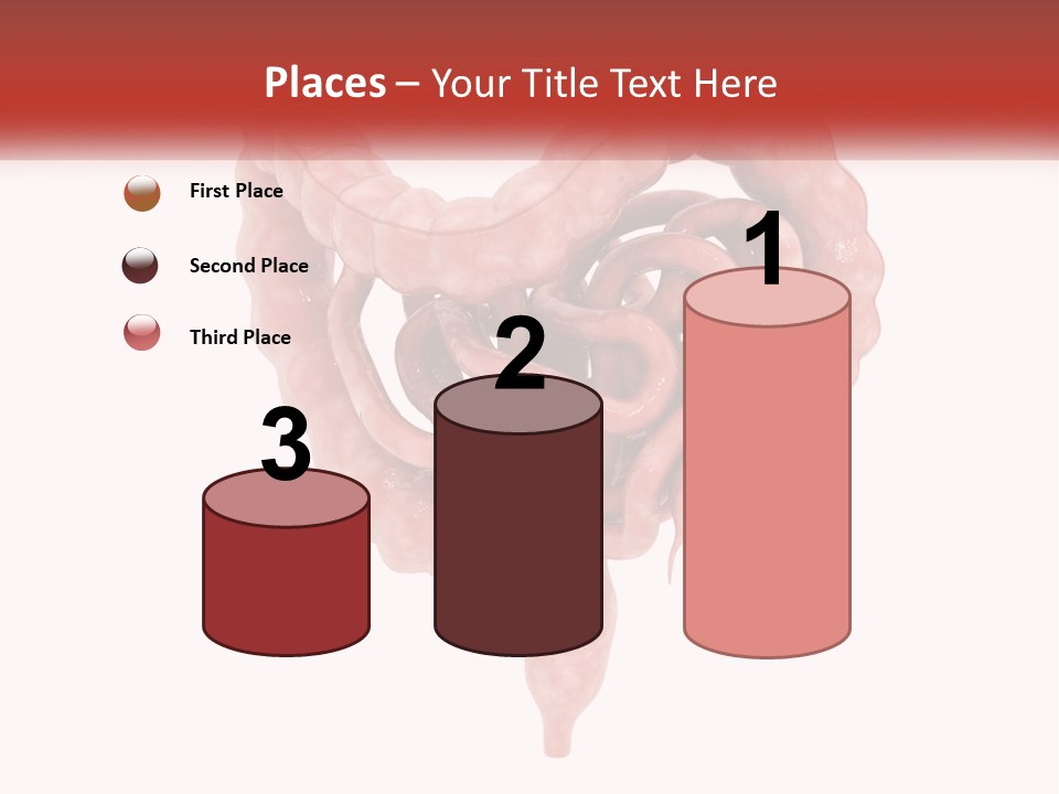 The Stomach Is Shown With A Red Ribbon Around It PowerPoint Template