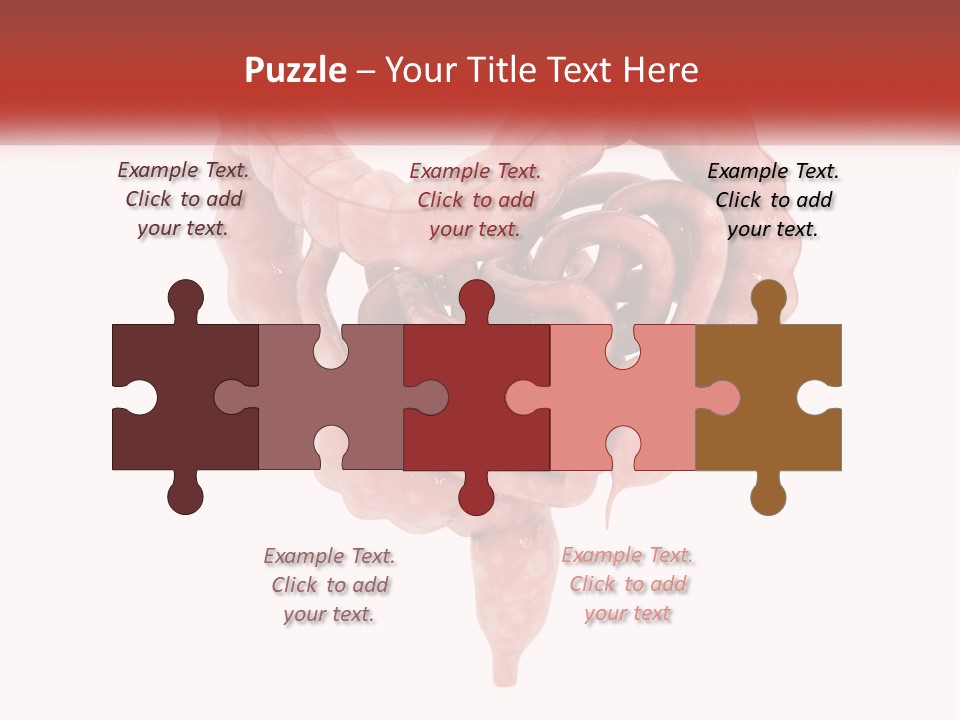 The Stomach Is Shown With A Red Ribbon Around It PowerPoint Template