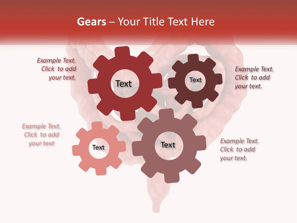 The Stomach Is Shown With A Red Ribbon Around It PowerPoint Template