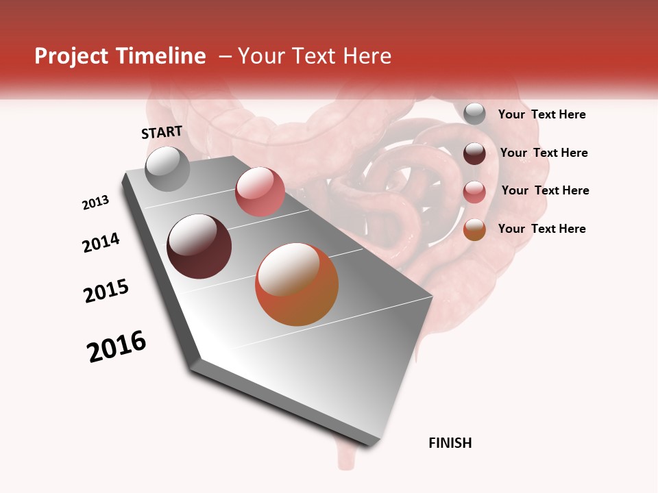 The Stomach Is Shown With A Red Ribbon Around It PowerPoint Template