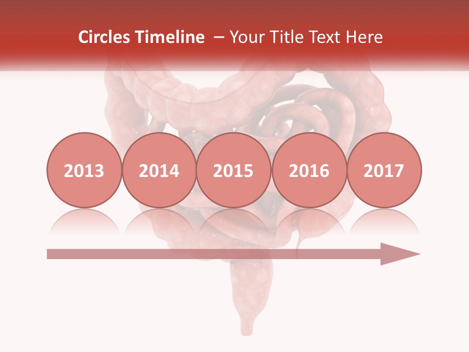 The Stomach Is Shown With A Red Ribbon Around It PowerPoint Template