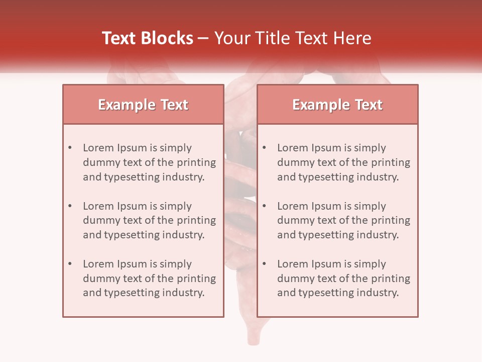 The Stomach Is Shown With A Red Ribbon Around It PowerPoint Template