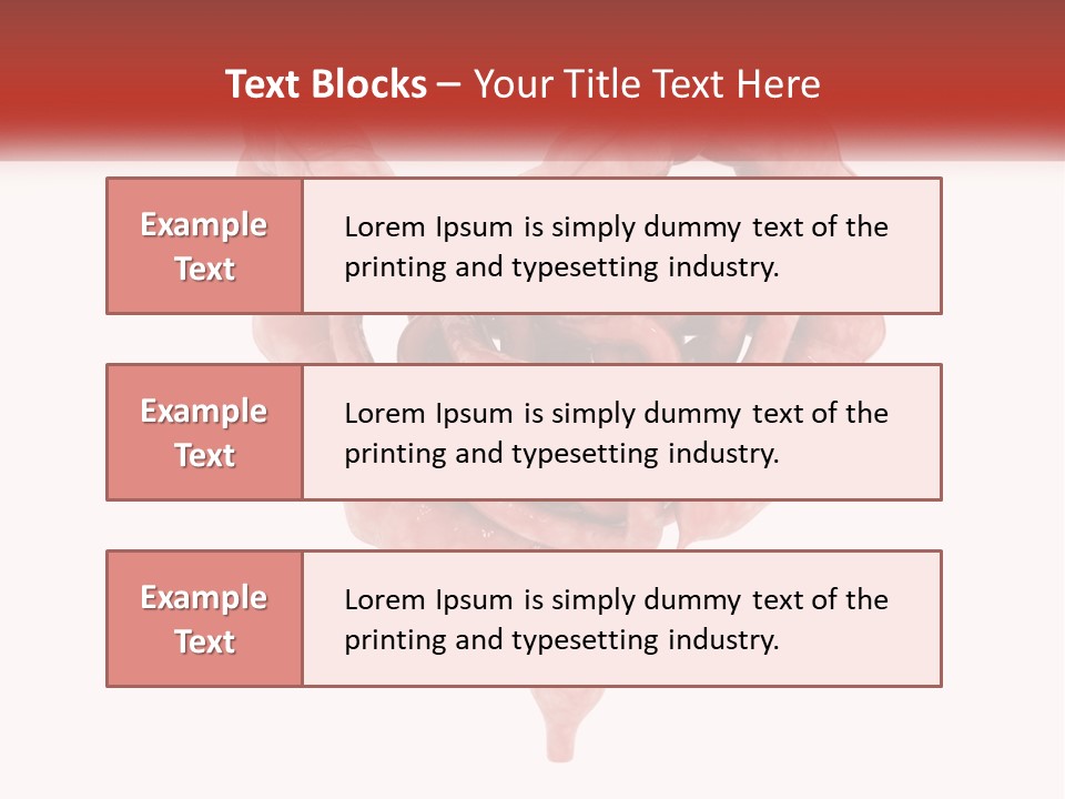 The Stomach Is Shown With A Red Ribbon Around It PowerPoint Template