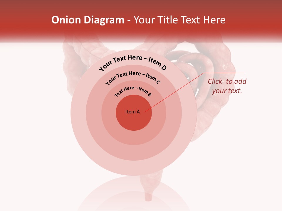 The Stomach Is Shown With A Red Ribbon Around It PowerPoint Template