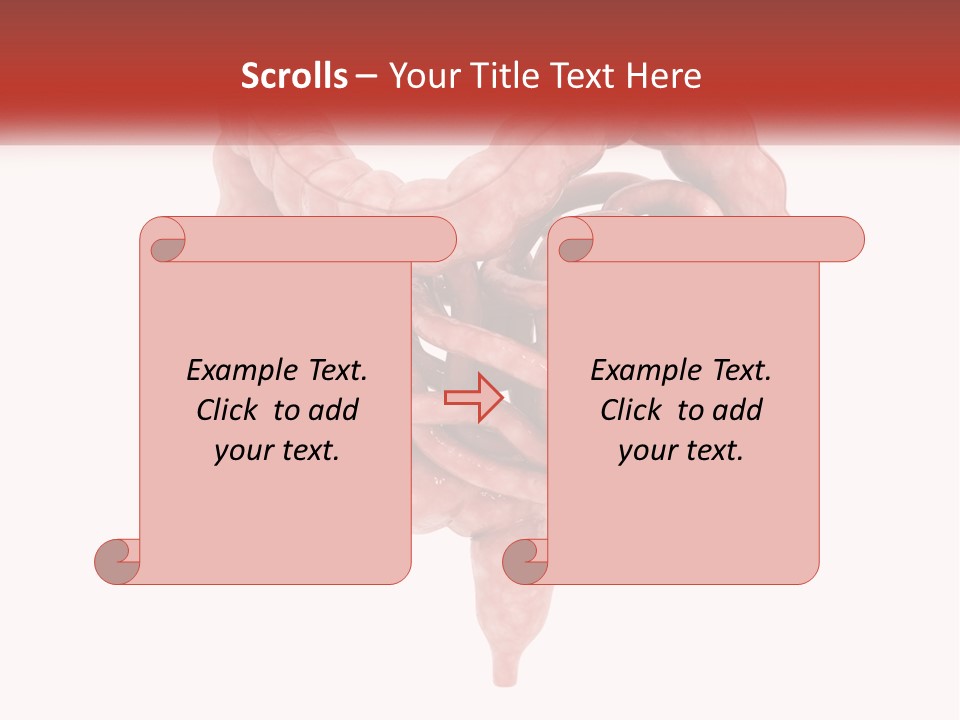 The Stomach Is Shown With A Red Ribbon Around It PowerPoint Template