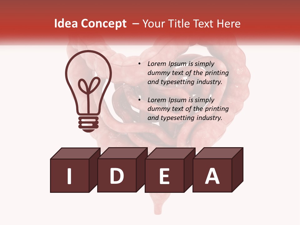 The Stomach Is Shown With A Red Ribbon Around It PowerPoint Template