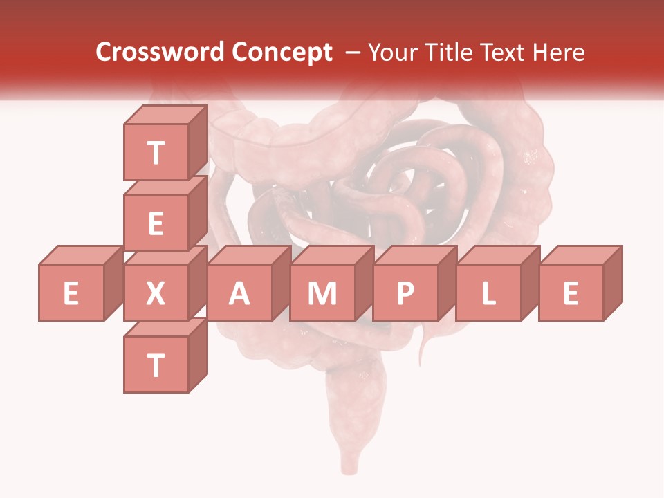 The Stomach Is Shown With A Red Ribbon Around It PowerPoint Template