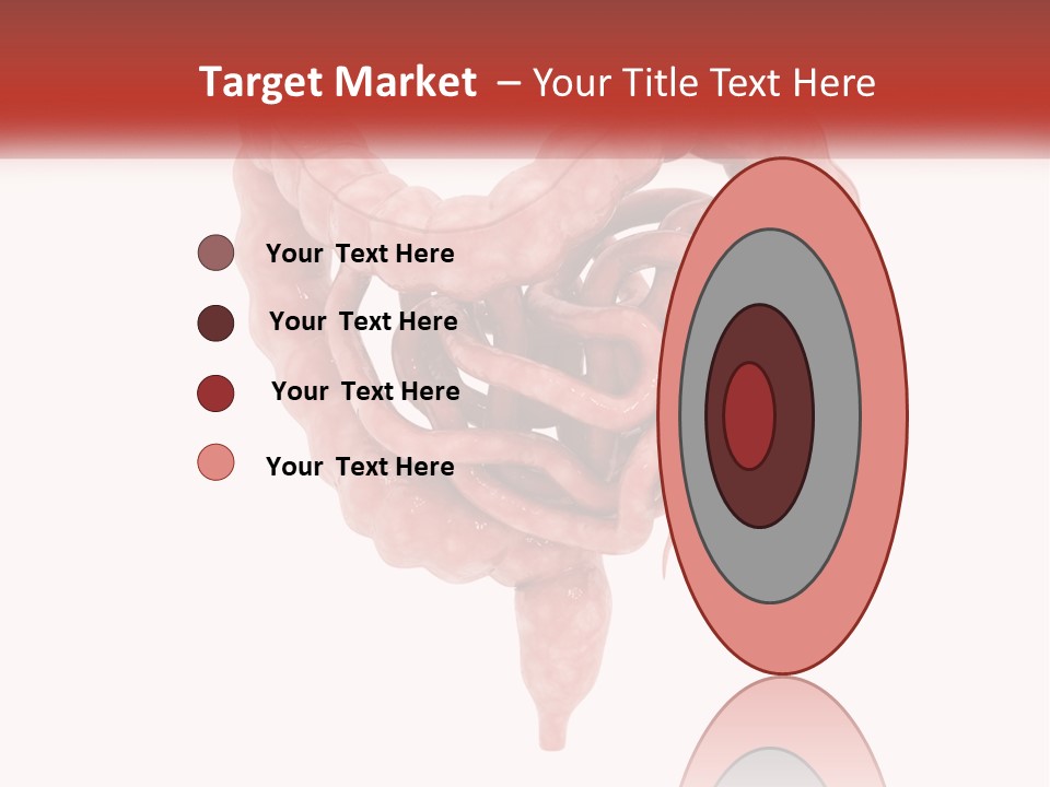 The Stomach Is Shown With A Red Ribbon Around It PowerPoint Template