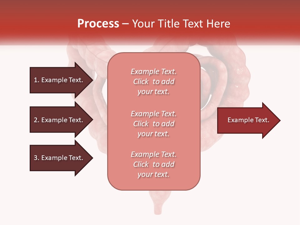 The Stomach Is Shown With A Red Ribbon Around It PowerPoint Template