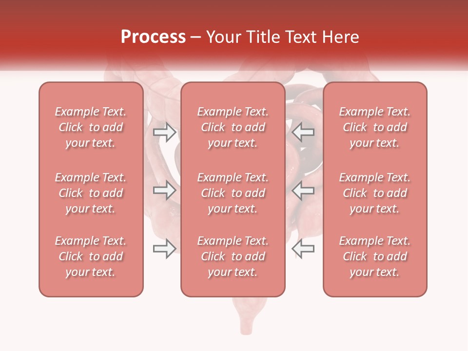 The Stomach Is Shown With A Red Ribbon Around It PowerPoint Template