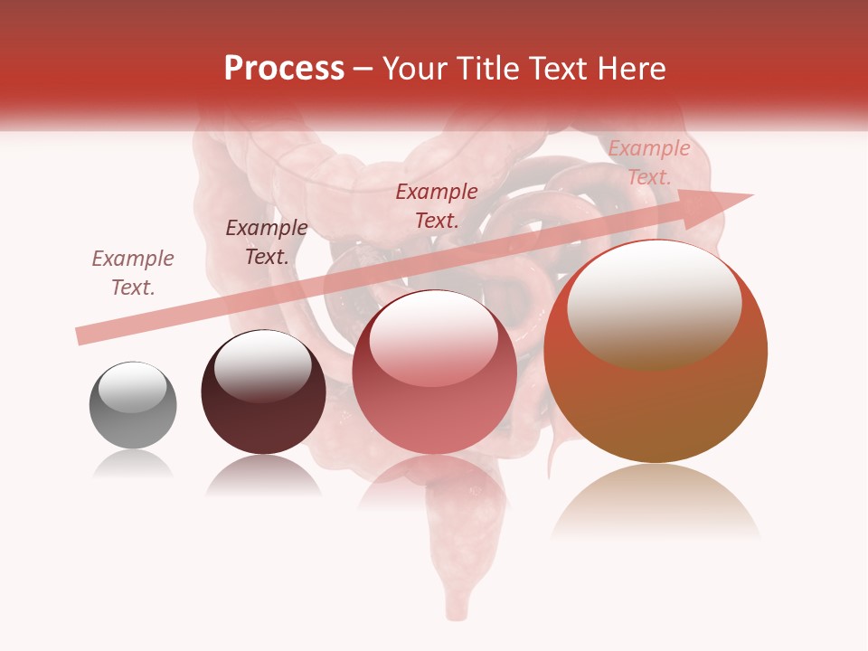 The Stomach Is Shown With A Red Ribbon Around It PowerPoint Template
