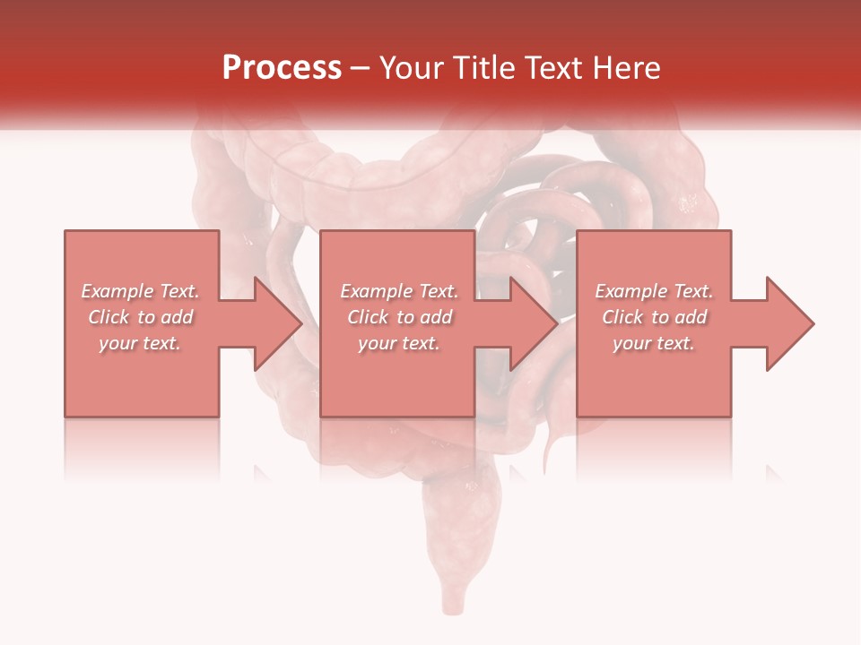 The Stomach Is Shown With A Red Ribbon Around It PowerPoint Template