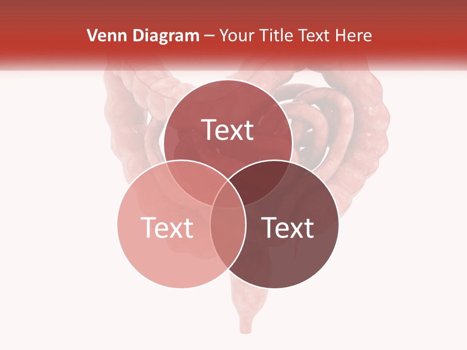 The Stomach Is Shown With A Red Ribbon Around It PowerPoint Template