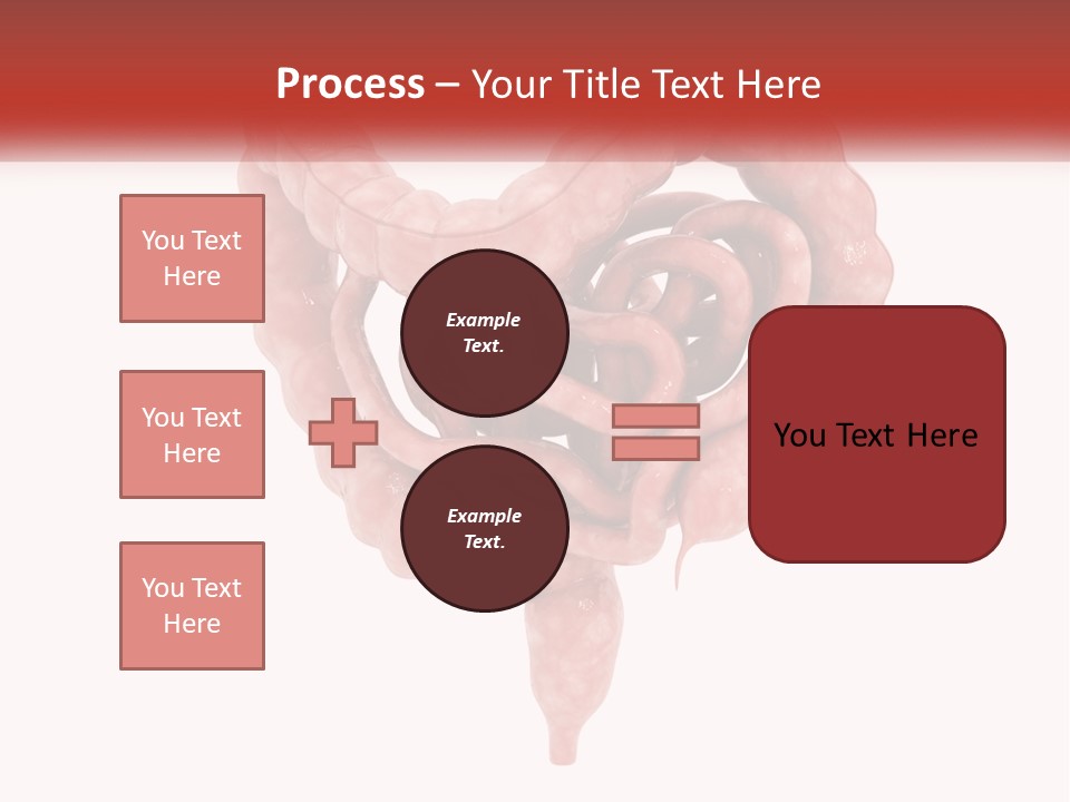 The Stomach Is Shown With A Red Ribbon Around It PowerPoint Template
