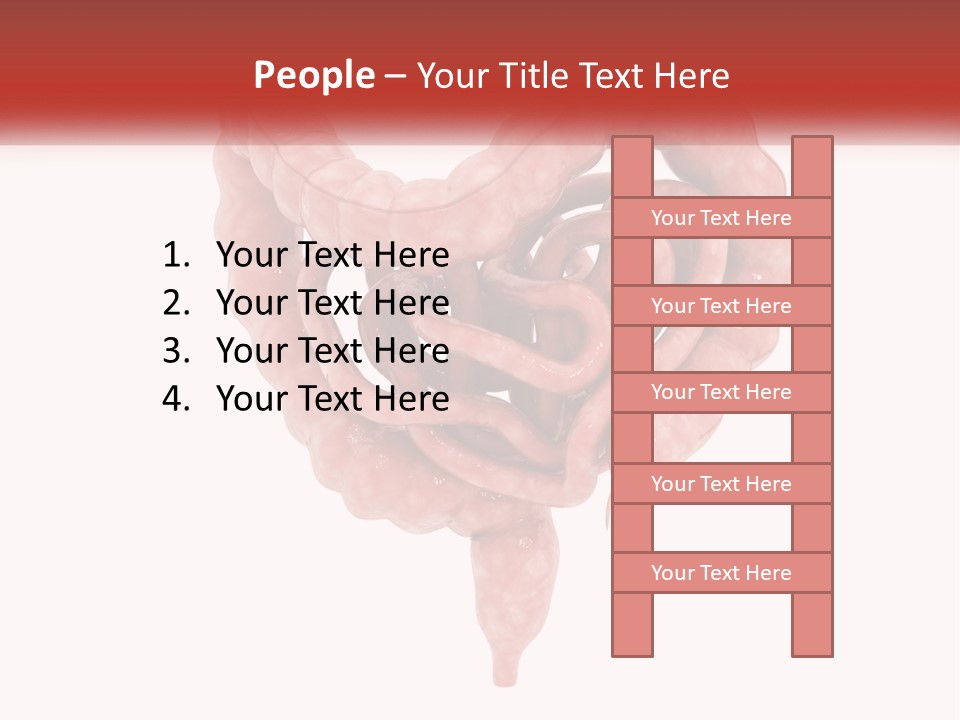 The Stomach Is Shown With A Red Ribbon Around It PowerPoint Template