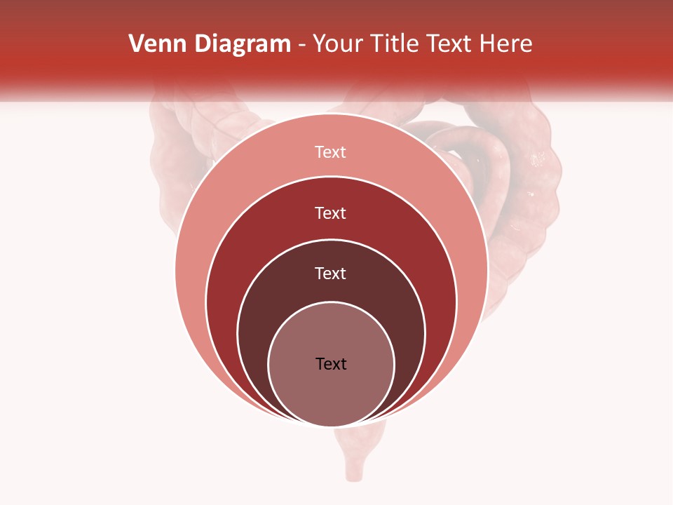 The Stomach Is Shown With A Red Ribbon Around It PowerPoint Template