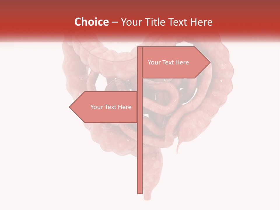 The Stomach Is Shown With A Red Ribbon Around It PowerPoint Template