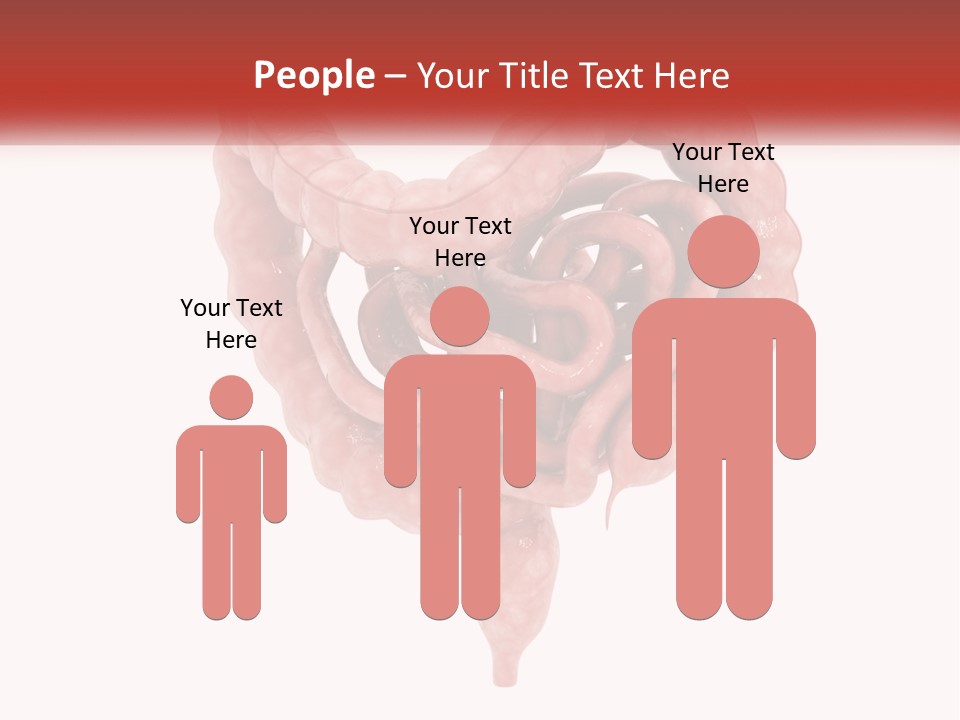 The Stomach Is Shown With A Red Ribbon Around It PowerPoint Template