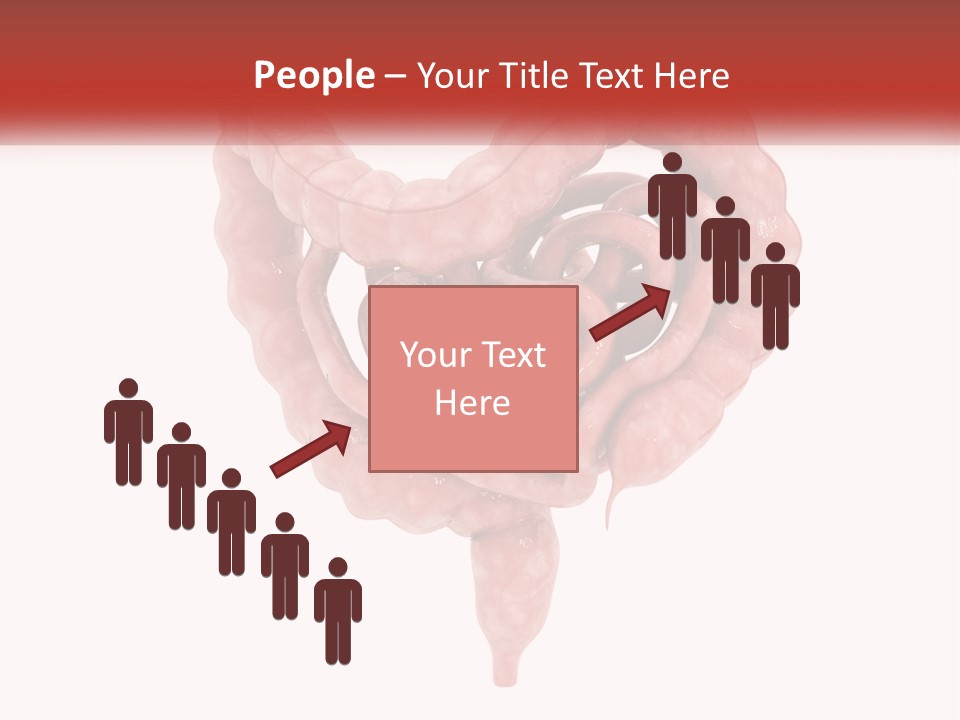 The Stomach Is Shown With A Red Ribbon Around It PowerPoint Template