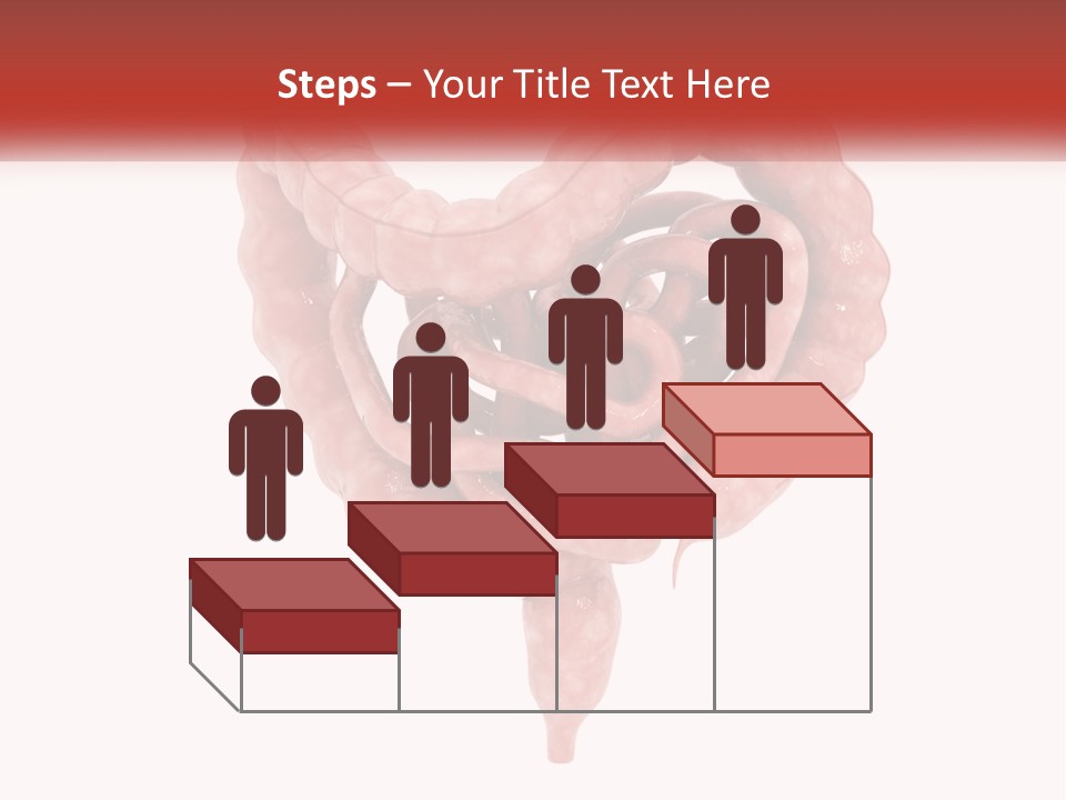 The Stomach Is Shown With A Red Ribbon Around It PowerPoint Template