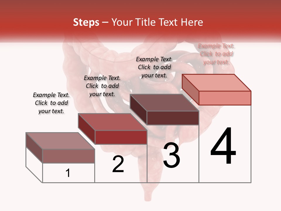 The Stomach Is Shown With A Red Ribbon Around It PowerPoint Template