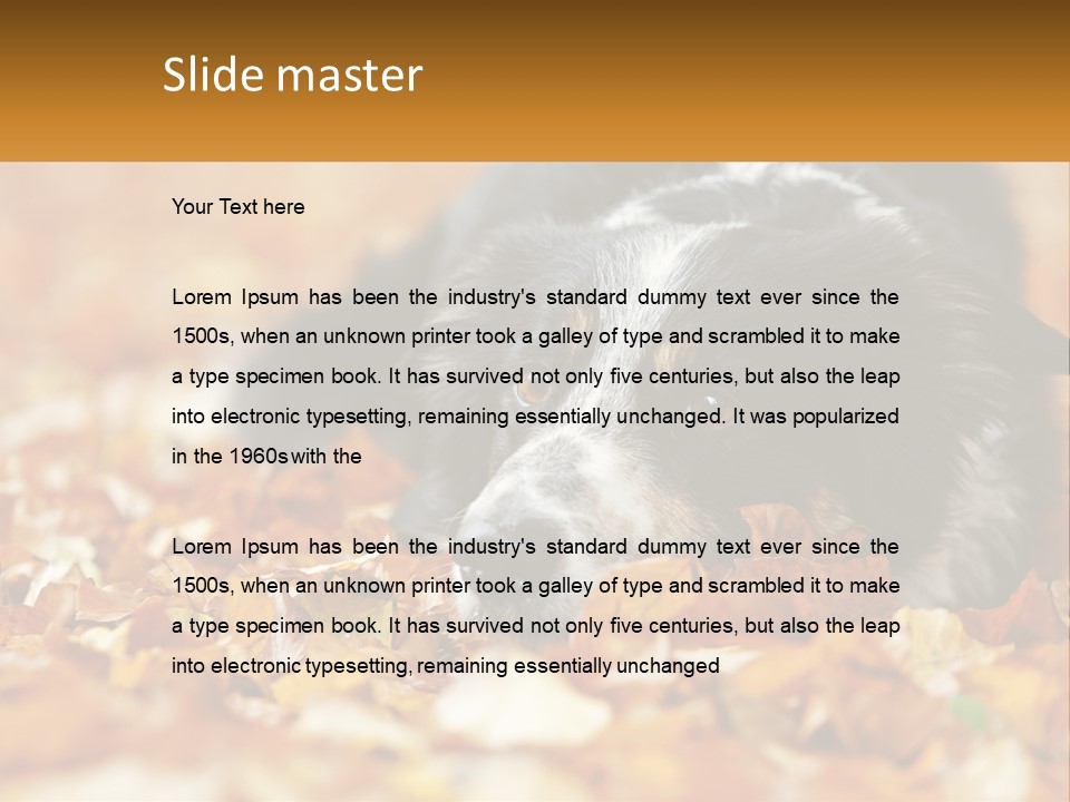 A Dog Laying On Top Of A Pile Of Leaves PowerPoint Template
