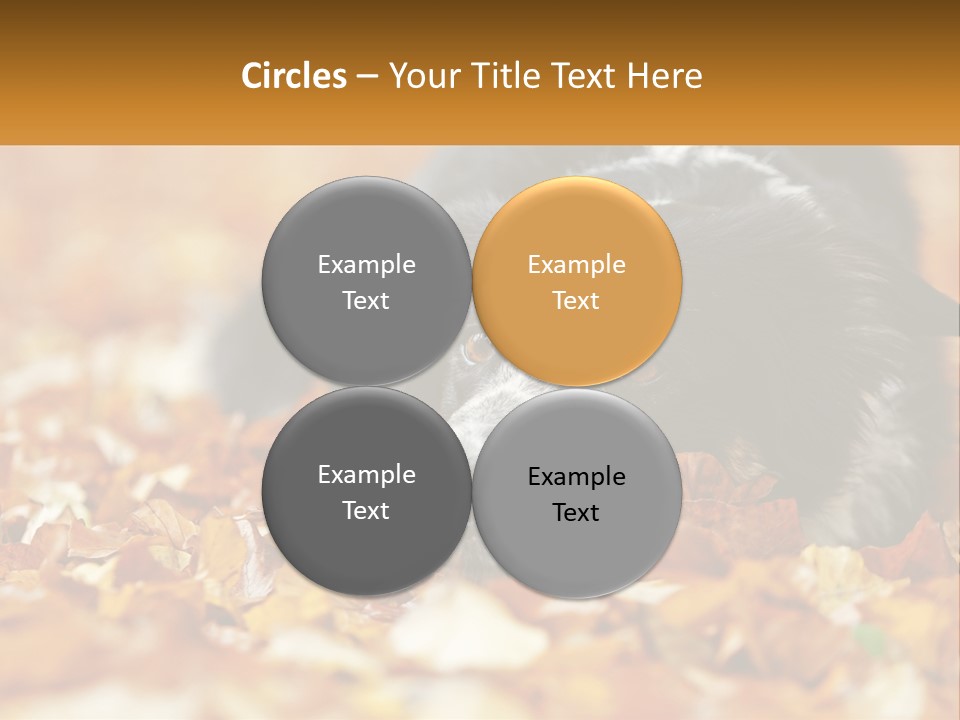 A Dog Laying On Top Of A Pile Of Leaves PowerPoint Template