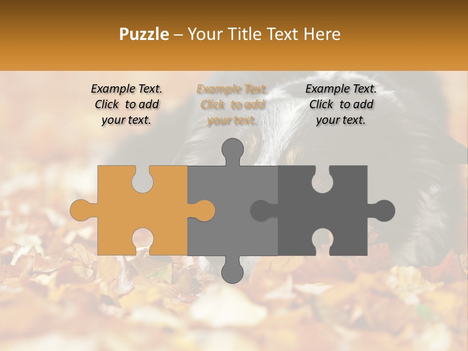 A Dog Laying On Top Of A Pile Of Leaves PowerPoint Template