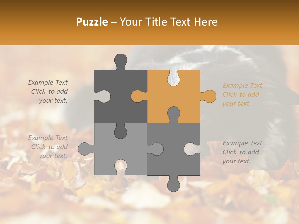 A Dog Laying On Top Of A Pile Of Leaves PowerPoint Template