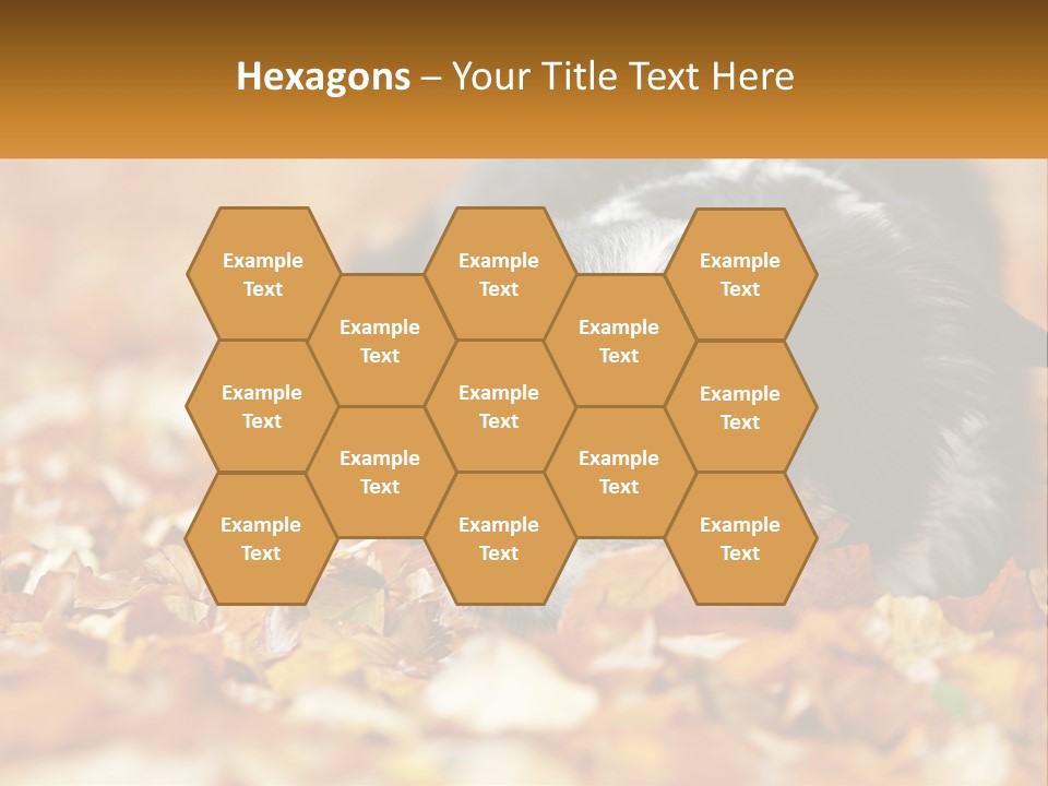 A Dog Laying On Top Of A Pile Of Leaves PowerPoint Template