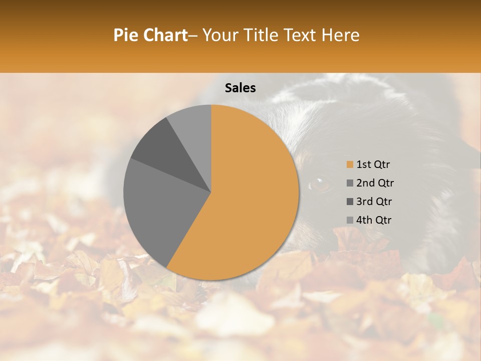 A Dog Laying On Top Of A Pile Of Leaves PowerPoint Template