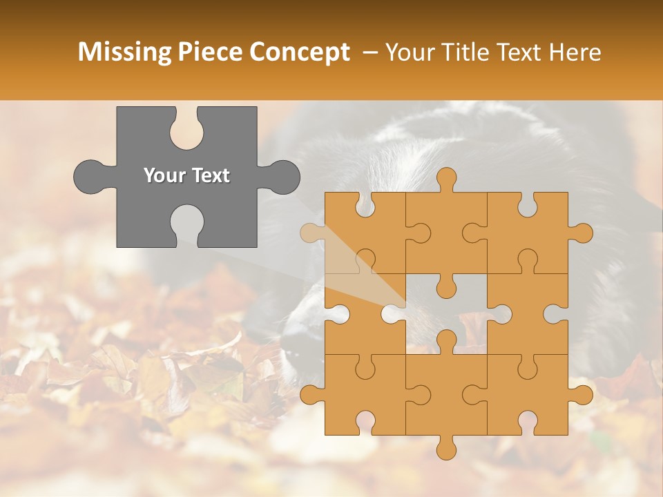 A Dog Laying On Top Of A Pile Of Leaves PowerPoint Template