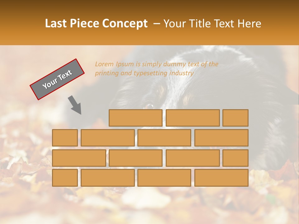 A Dog Laying On Top Of A Pile Of Leaves PowerPoint Template