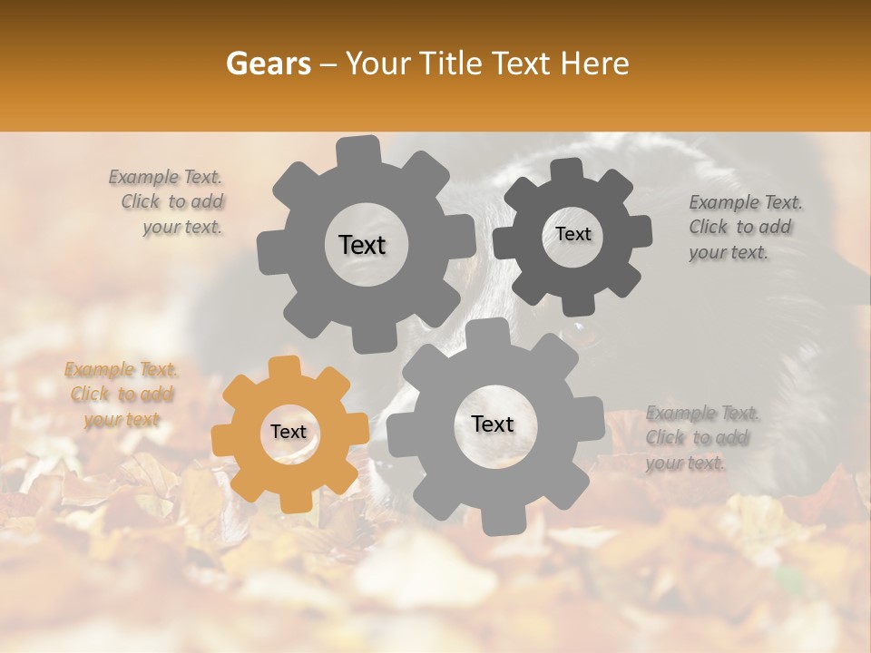 A Dog Laying On Top Of A Pile Of Leaves PowerPoint Template