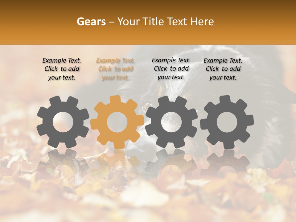 A Dog Laying On Top Of A Pile Of Leaves PowerPoint Template